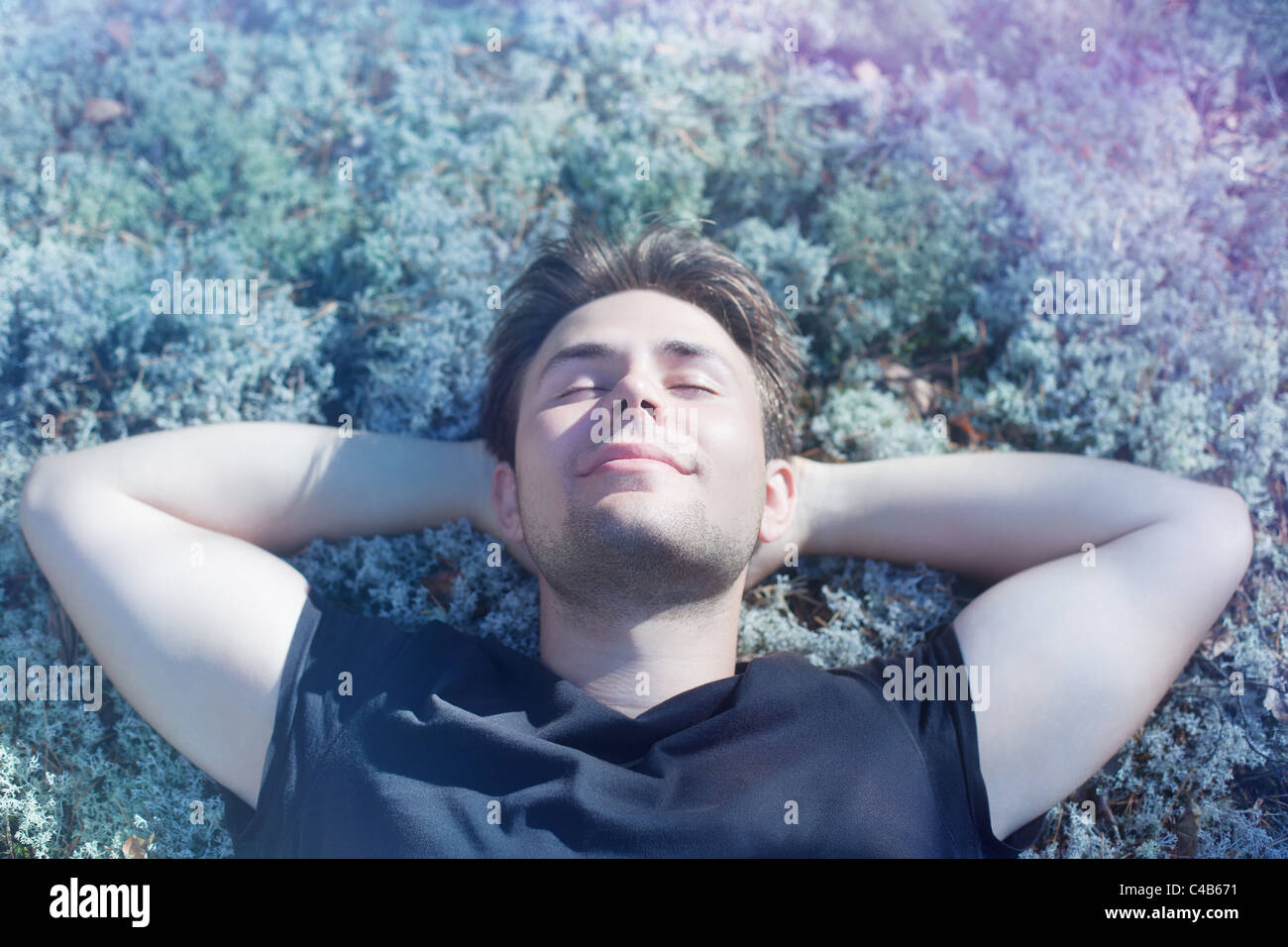 Man Sleeping In The Forest High Resolution Stock Photography and Images ...