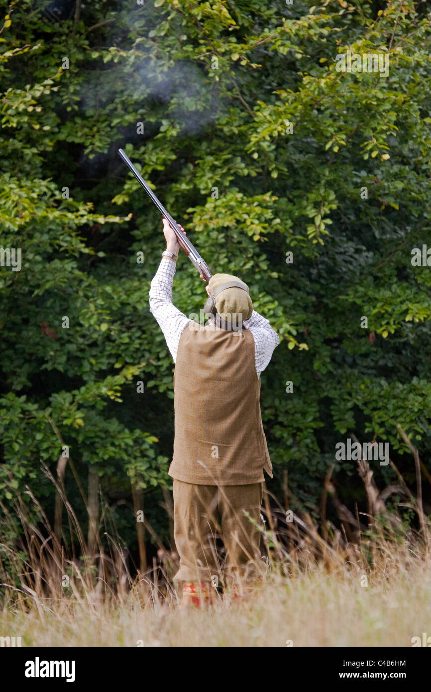 UK. Wiltshire. A man fires his shotgun at a driven partridge shoot. Stock Photo