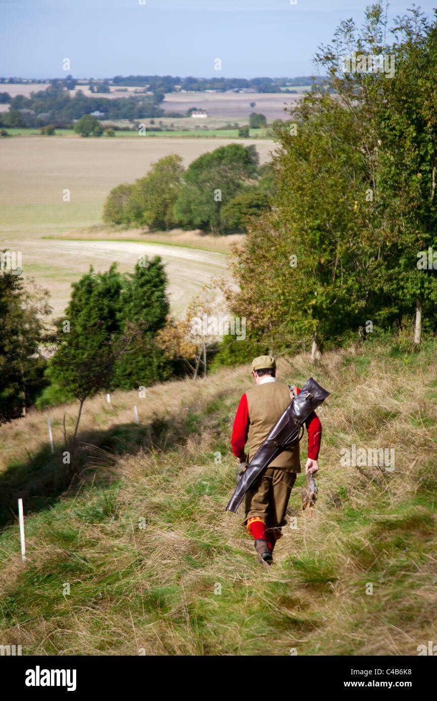 UK, Wiltshire. A man makes his way down the hill, after a shoot. Stock Photo