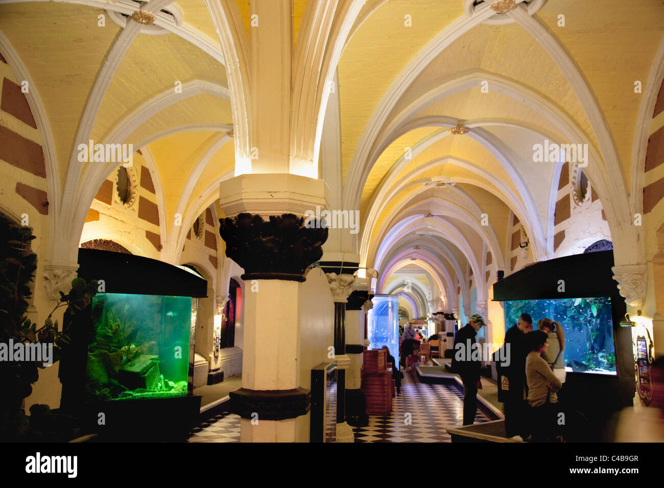 Brighton aquarium hires stock photography and images Alamy