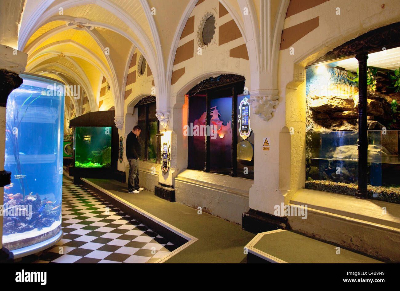 Aquarium attraction brighton interior hires stock photography and