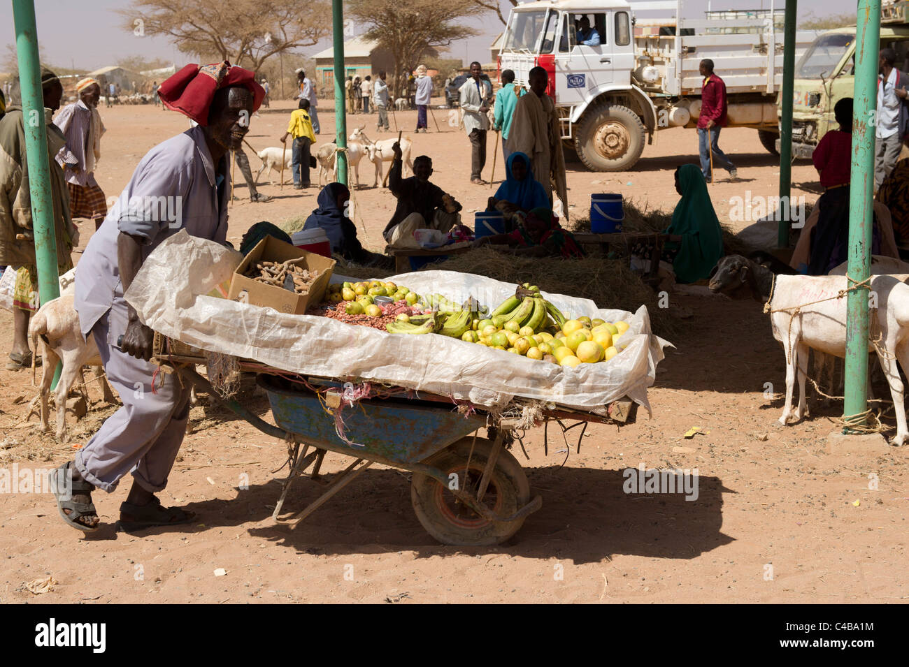 Fruit vendor at the livestock market, Barao, Somaliland, Somalia Stock Photo