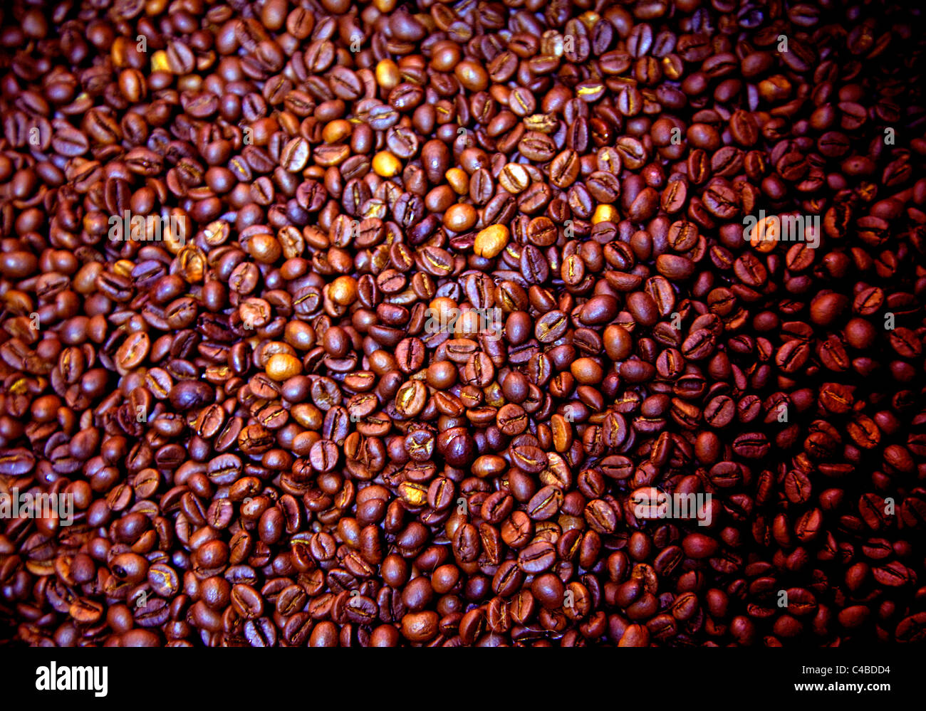 Rome, Italy; Cooked coffee beans Stock Photo Alamy