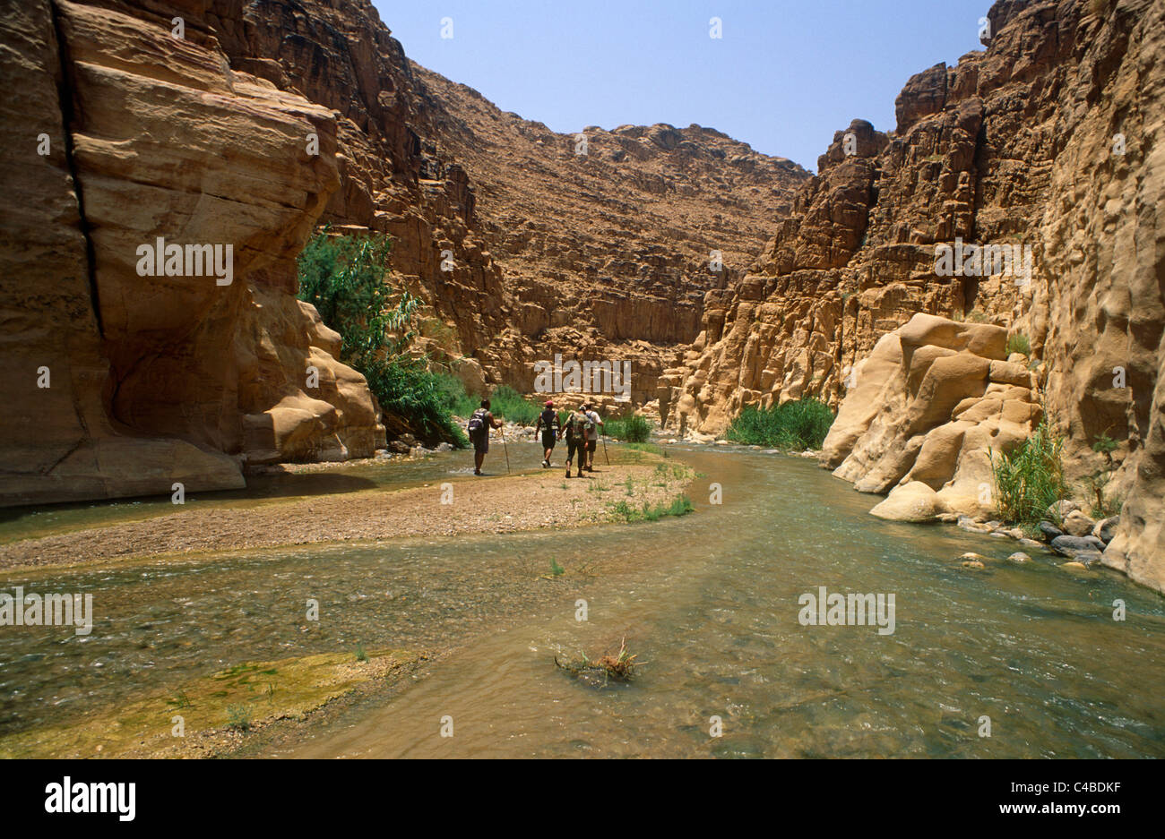 Jordan, Mujib Nature Reserve, Malaqi Trail, Mujib River. Walkers stroll up  Wadi Mujib towards Malaqi and its confluence with the Hidan River Stock  Photo - Alamy
