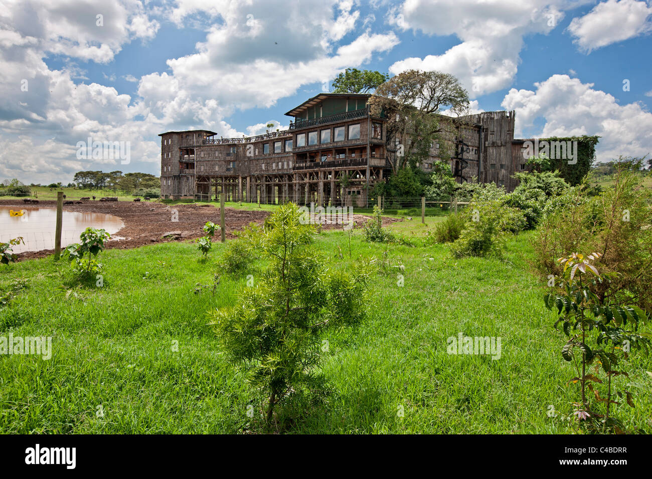 Treetops kenya hi-res stock photography and images - Alamy