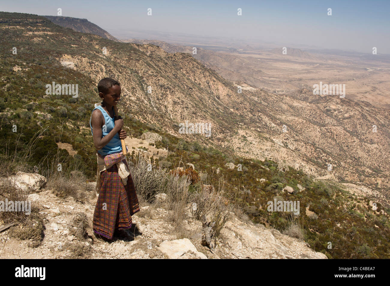 Escarpment view, Ga'an Libah Forest Reserve, Somaliland, Somalia Stock Photo