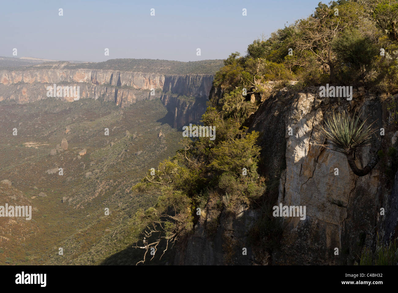 Erigavo hires stock photography and images Alamy