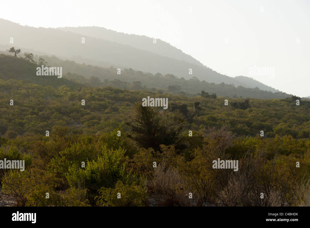 Erigavo hires stock photography and images Alamy