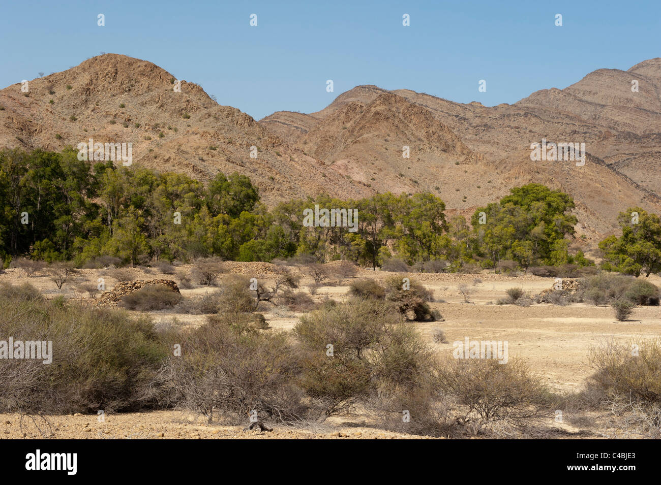 Manlo cairns, pre-islamic graves at  the base of Daallo escarpment, Somaliland, Somalia Stock Photo