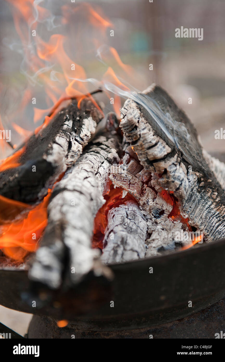 outdoor, flame, cold, meal, caldron, winter, fire, day, cook, camp-fire ...