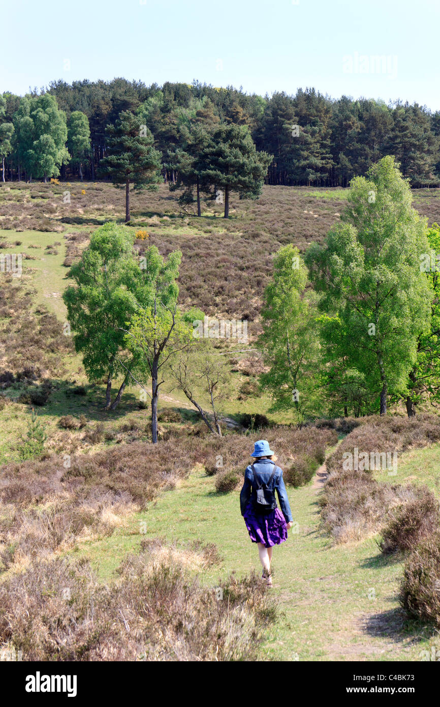 Woman in casual waer with backpack walking alone in the Ashdown Forest, Sussex Stock Photo