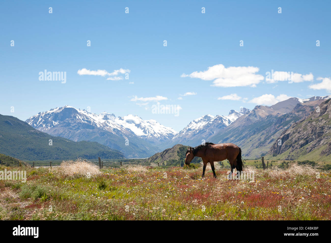 Fitz Roy massif, Parque Nacional Los Glaciares, Patagonia, Argentina Stock Photo
