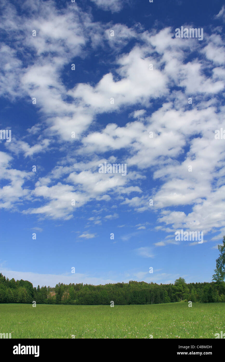 White fair weather clouds and blue skies over green summer fields Stock Photo