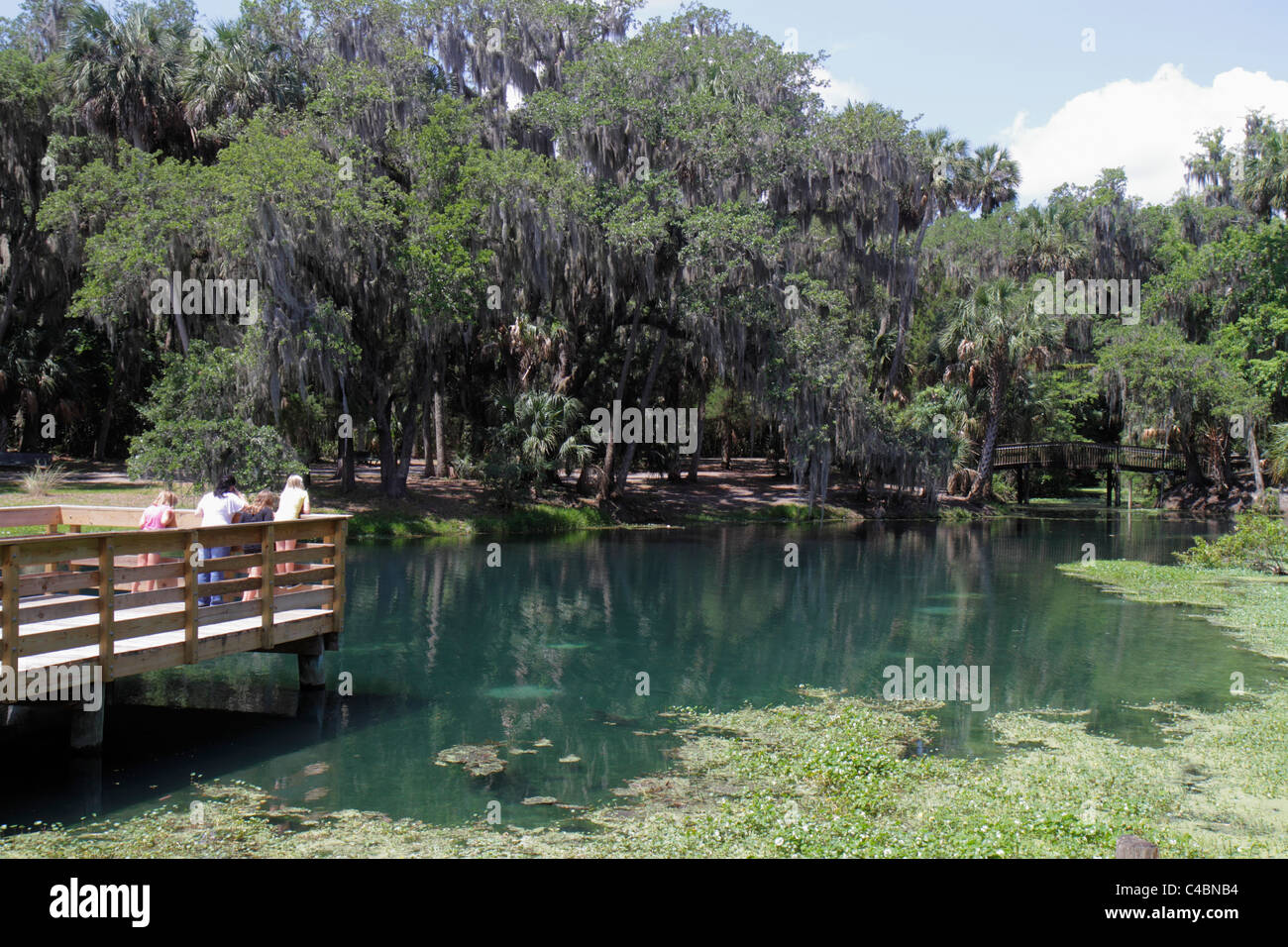 Florida Volusia County,Orange City,Blue Spring State Park,Spanish moss,girl girls,youngster youngsters youth youths female kid kids child children,vis Stock Photo