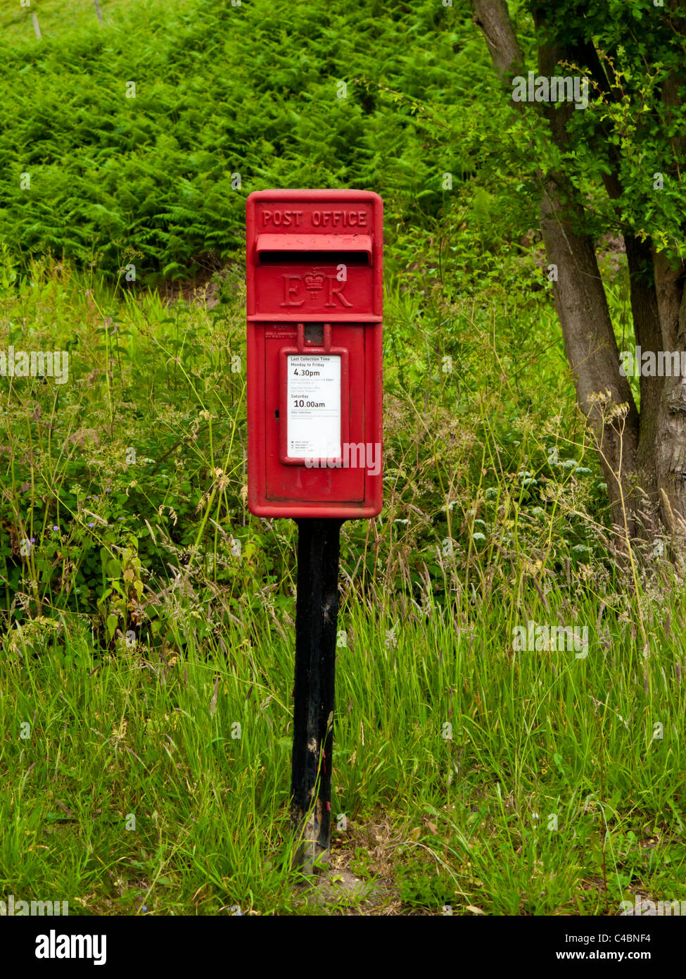 Post box in rural area near Petworth, west sussex, England. Stock Photo