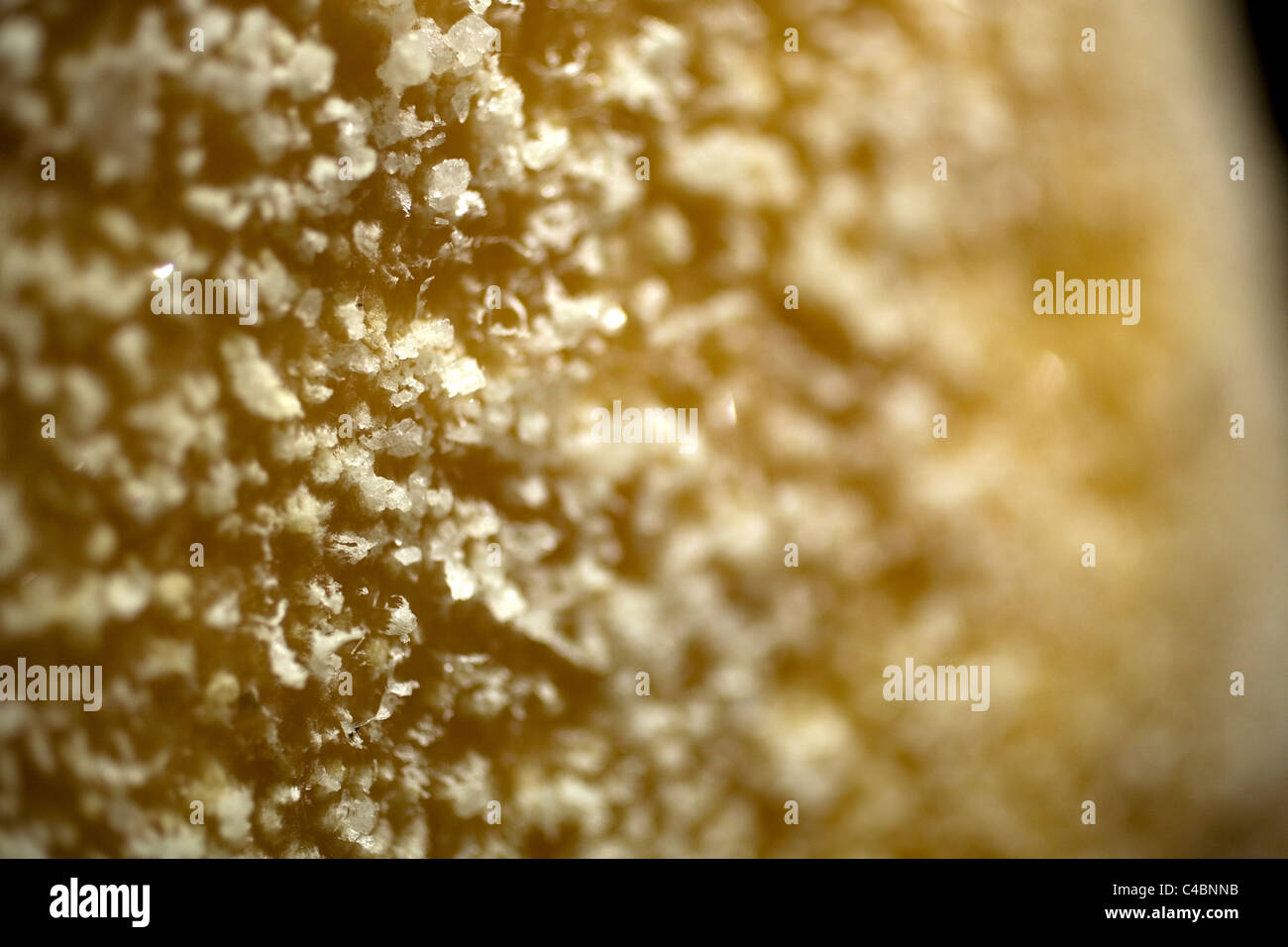 Salt covers pork fat from Spanish Iberian pigs, the source of Iberico