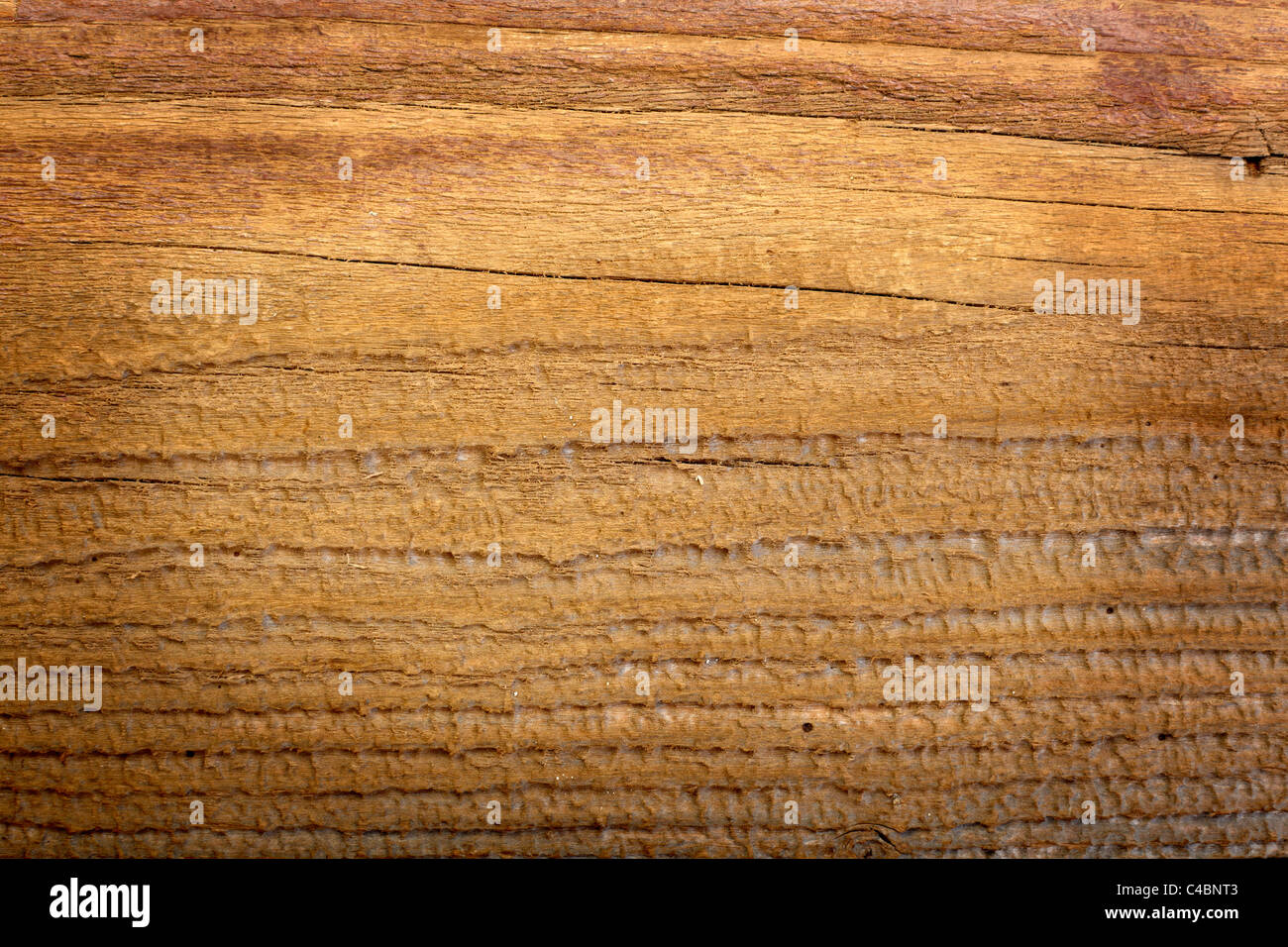 wooden background Stock Photo