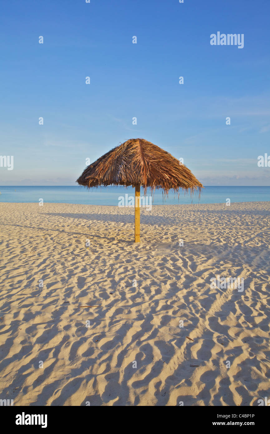 Solo Palapa on a White Sandy Beach in the Caribbean Before the Arrival of Tourists Stock Photo