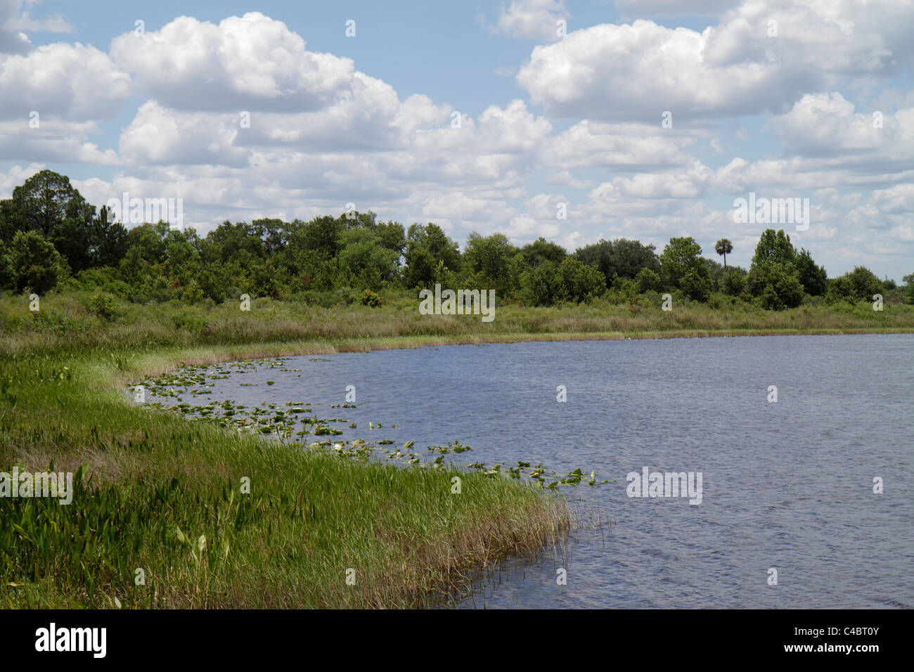 Florida FL South Lake County Altoona Ocala National Forest Highway 42