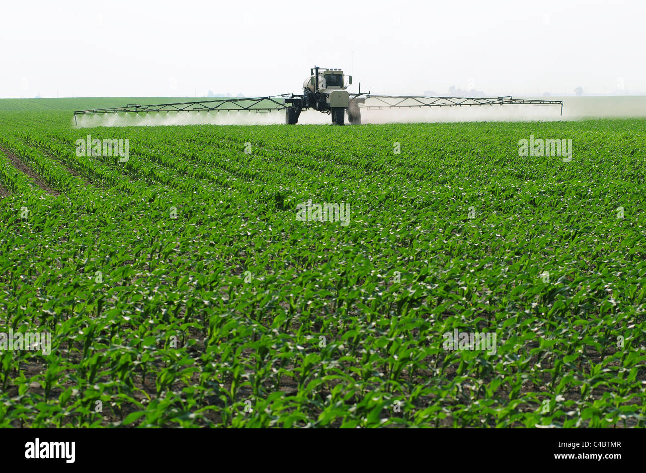 A self propelled crop sprayer treating a corn field with insecticide or