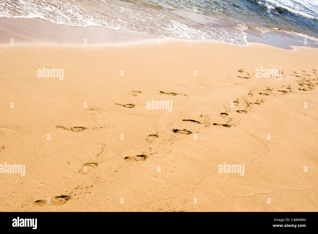Hawaiian beach and surf hi-res stock photography and images - Alamy