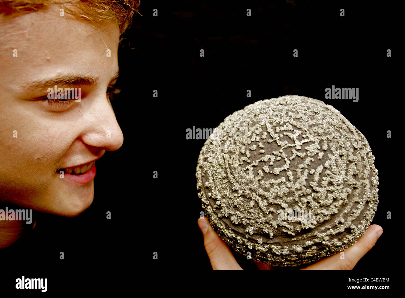 Pyrite on Shale Concretion - Young man observing - China Stock Photo