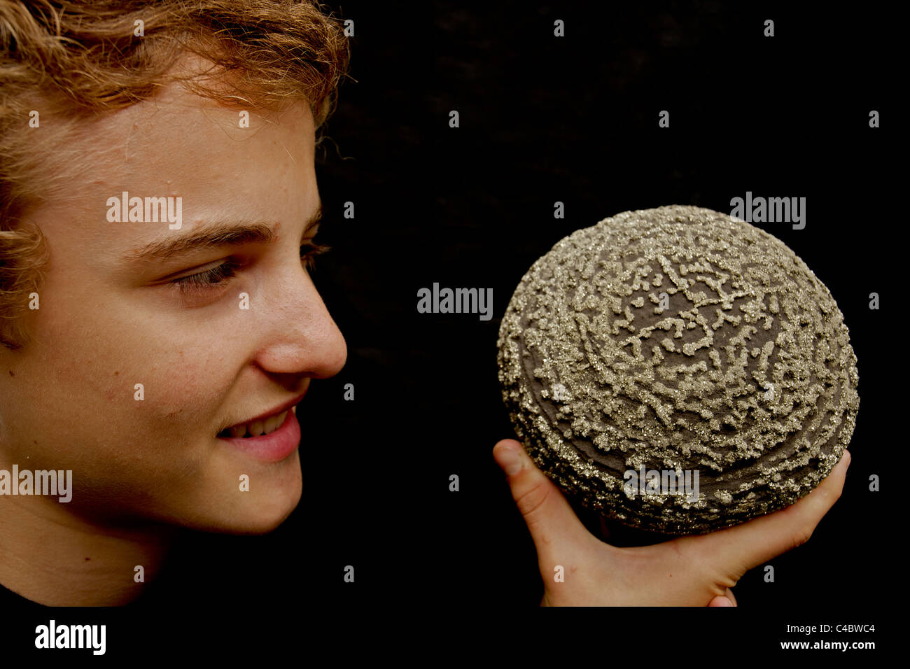 Pyrite on Shale Concretion - Young man observing - China Stock Photo