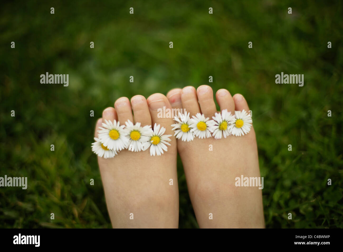 Five year old girl with daisies between her toes Stock Photo