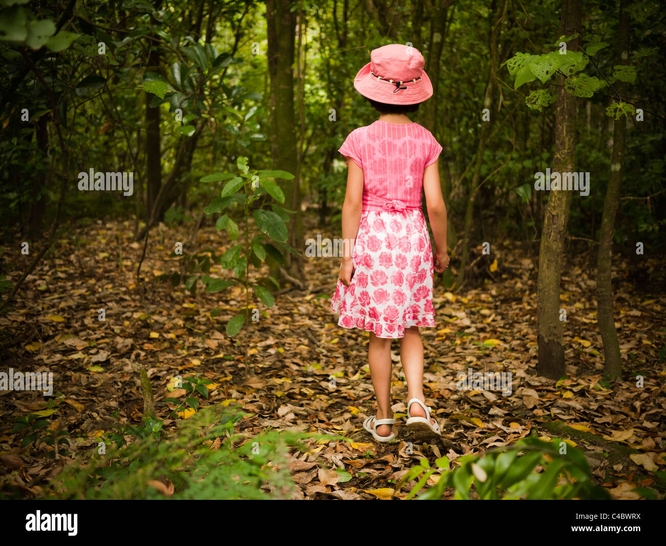 Girl in pink walks through woods Stock Photo