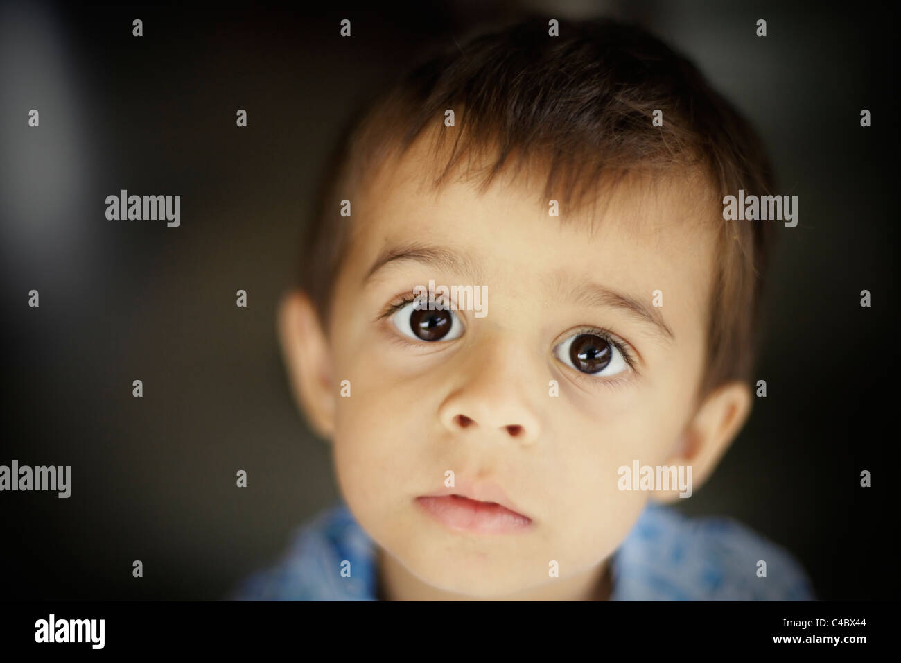 Three year old boy looks up Stock Photo