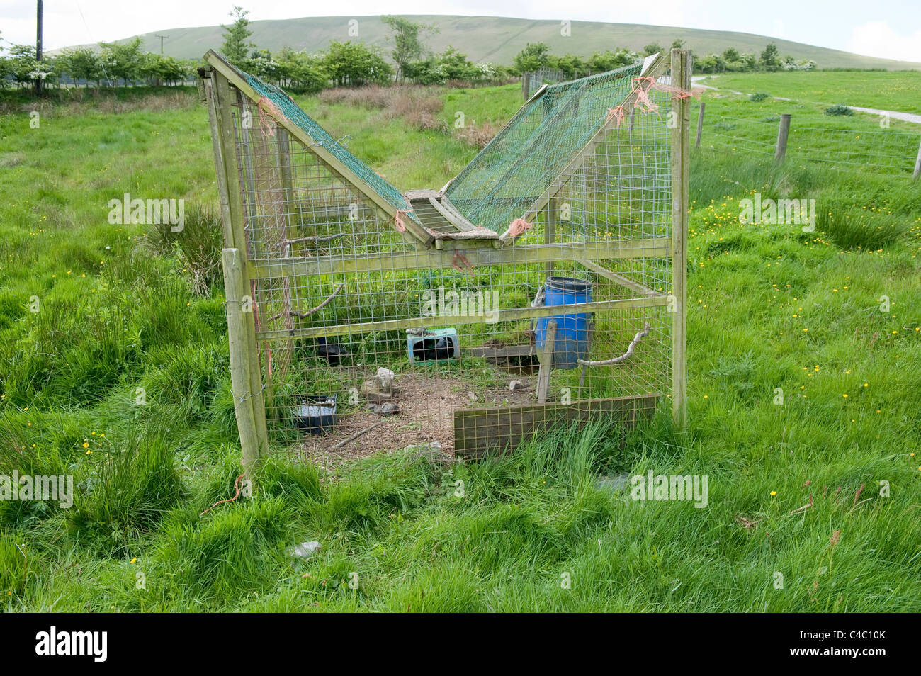 Large Larsen trap used on a shooting estate to capture crows. Stock Photo