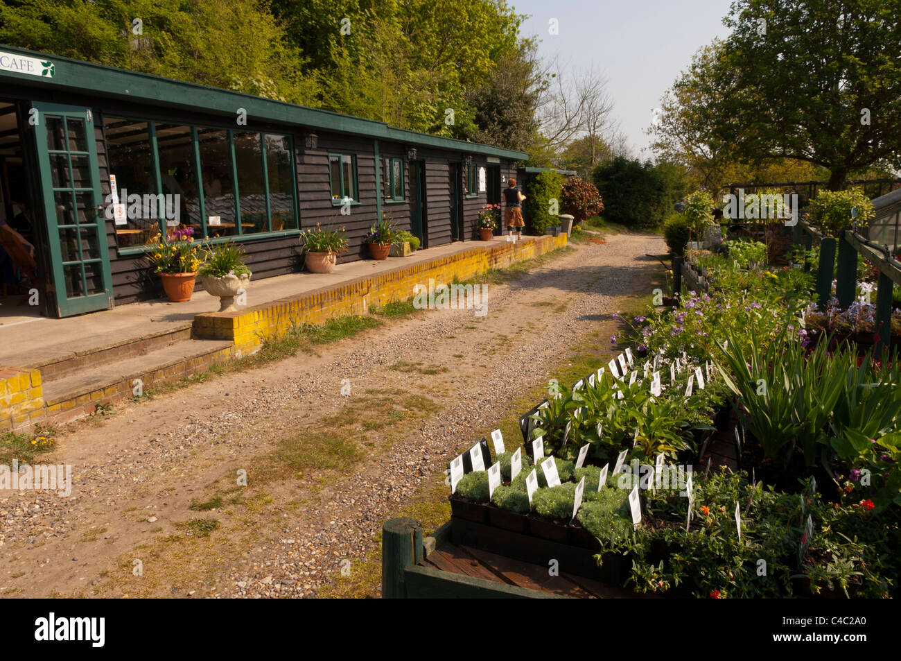 The Bridge House tea room , nursery and farm shop at Dunwich , Suffolk