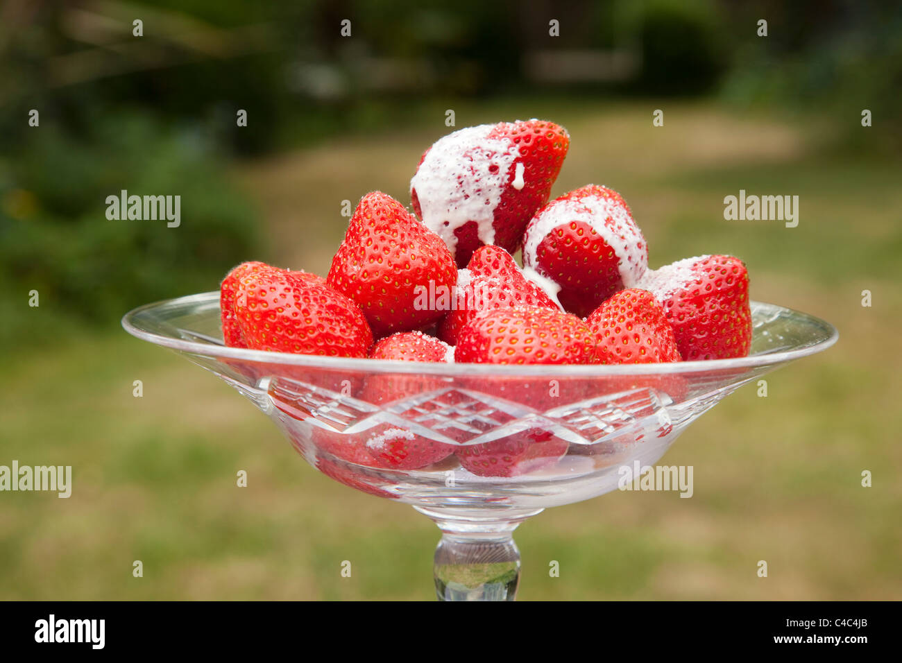 Summer strawberries and cream Stock Photo