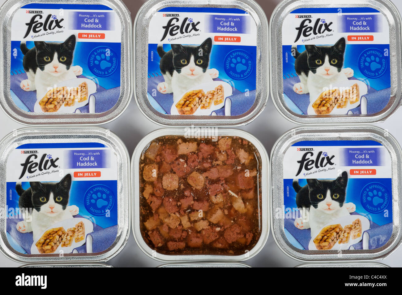 cat food jelly