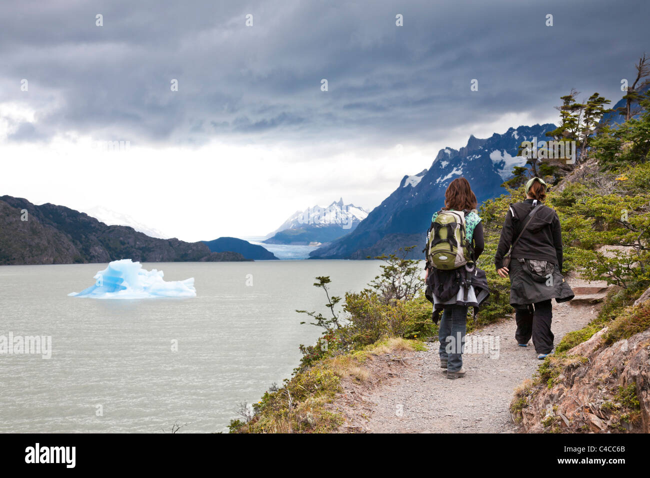 Glacier Grey and Lake Grey, Torres del Paine National Park, Chile Stock Photo