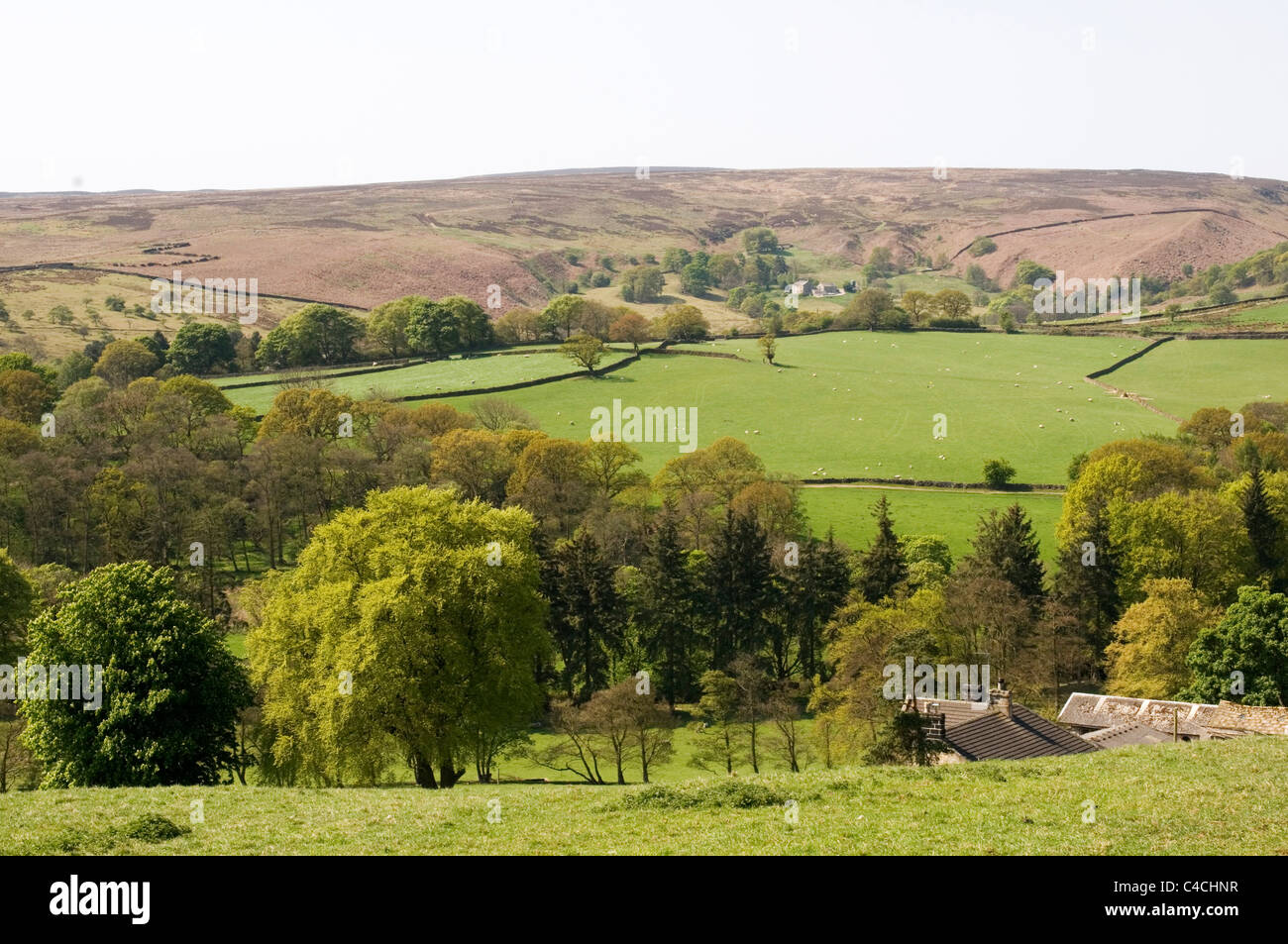 rolling green english landscape countryside country side uk british
