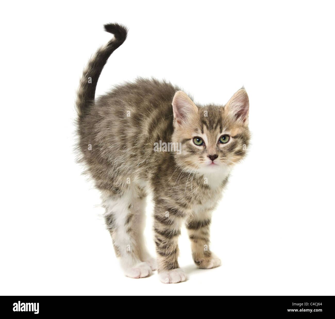 Curved posture hi-res stock photography and images - Alamy