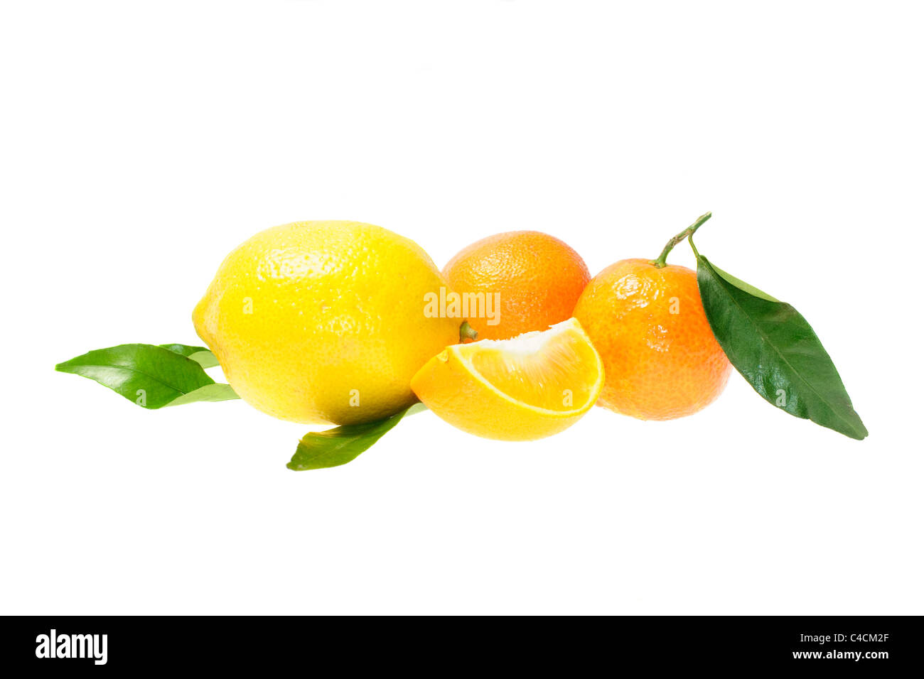 citrus fruits with leaves isolated on white background Stock Photo