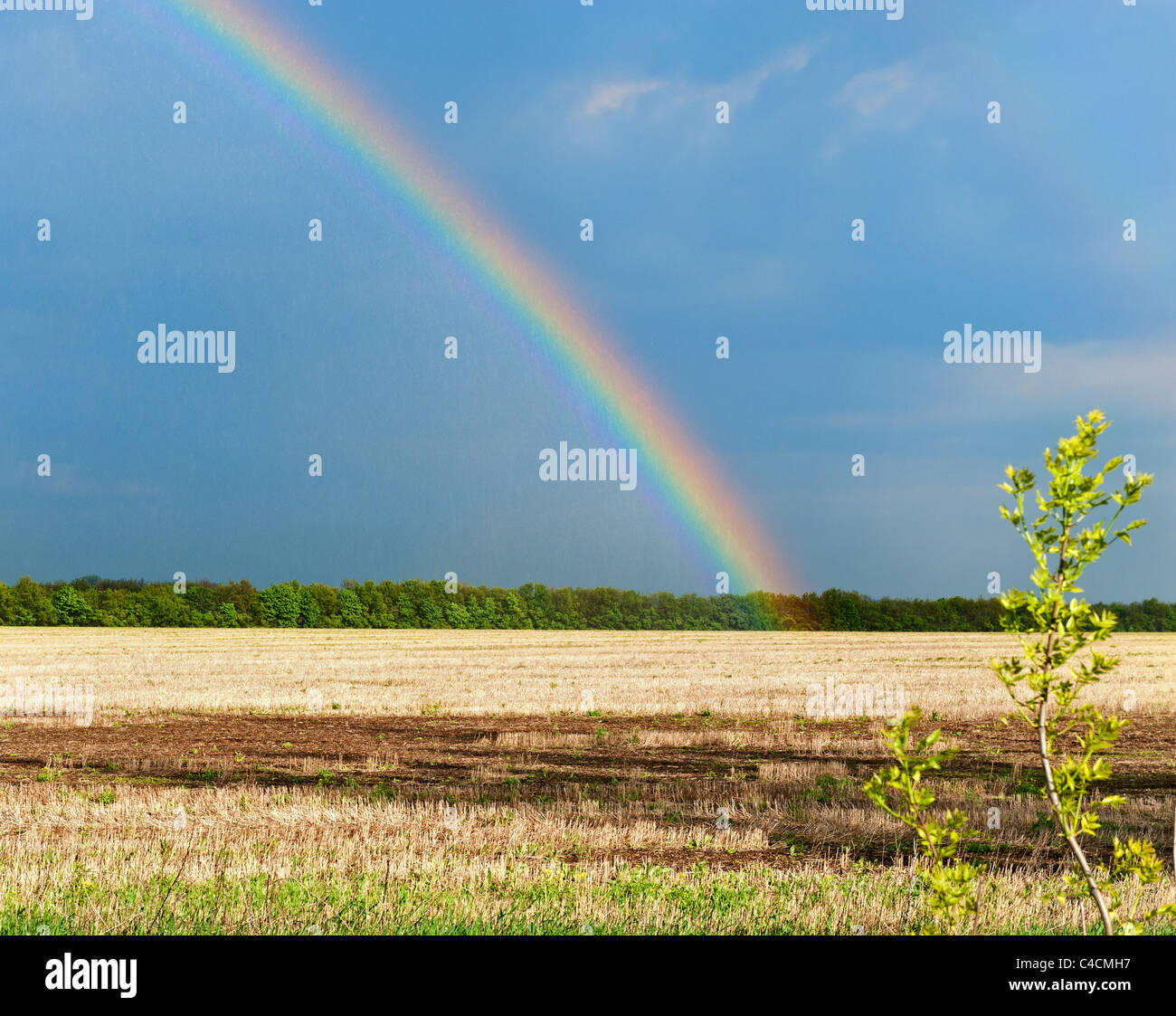 Rainbow. A landscape with a rain and a rainbow Stock Photo - Alamy