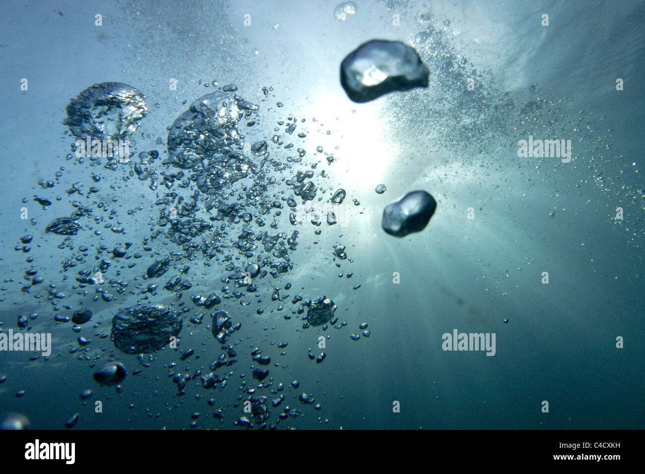 Air bubbles floating towards the surface from a SCUBA diver's regulator, reflecting in the sunlight coming through the water Stock Photo