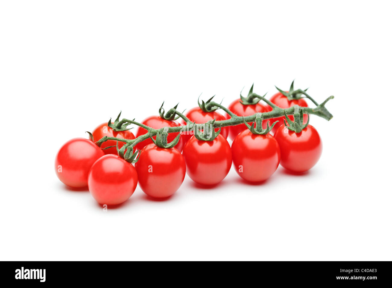 Baby tomato plant Cut Out Stock Images & Pictures - Alamy