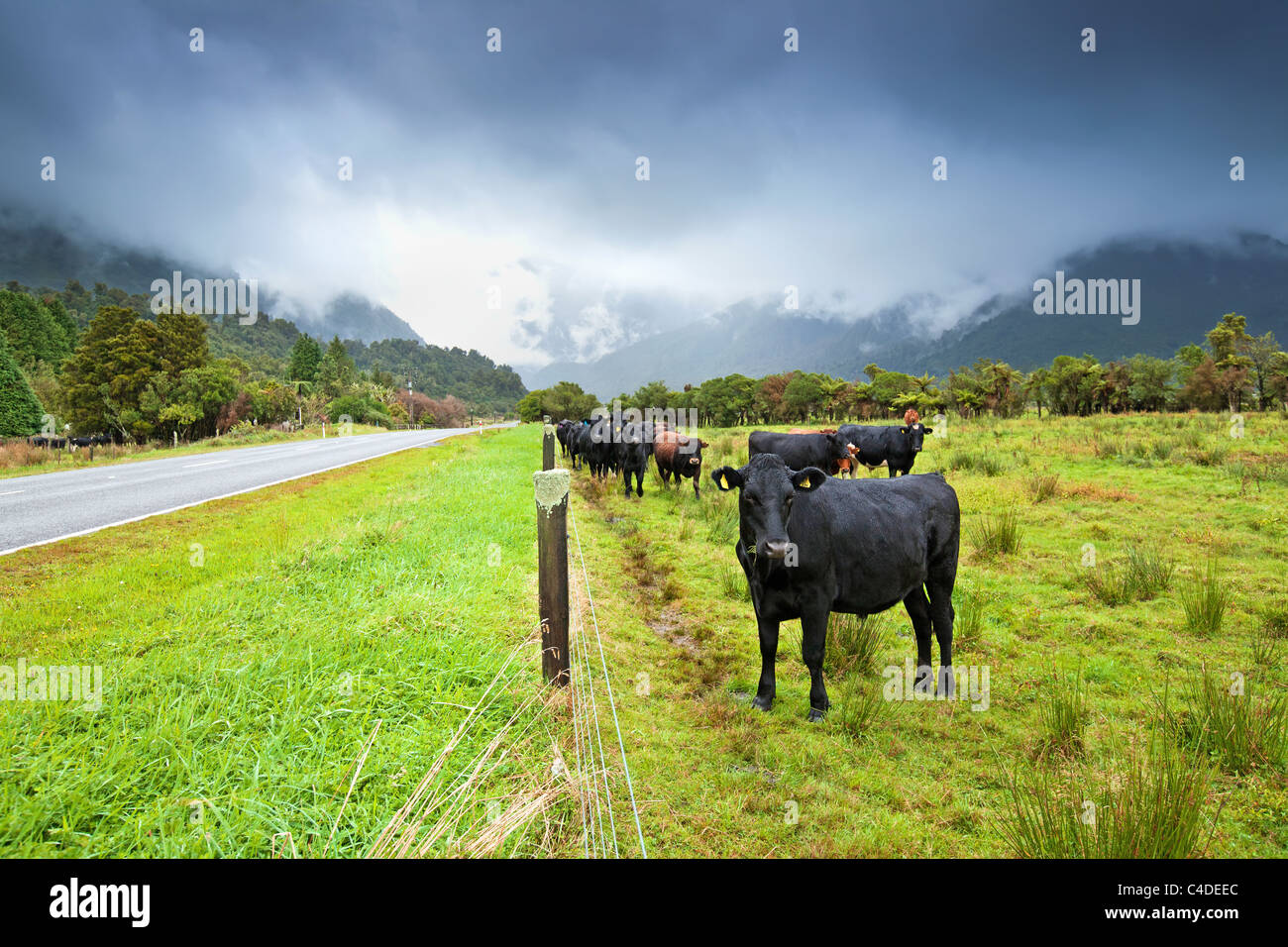 Primary production hi-res stock photography and images - Alamy