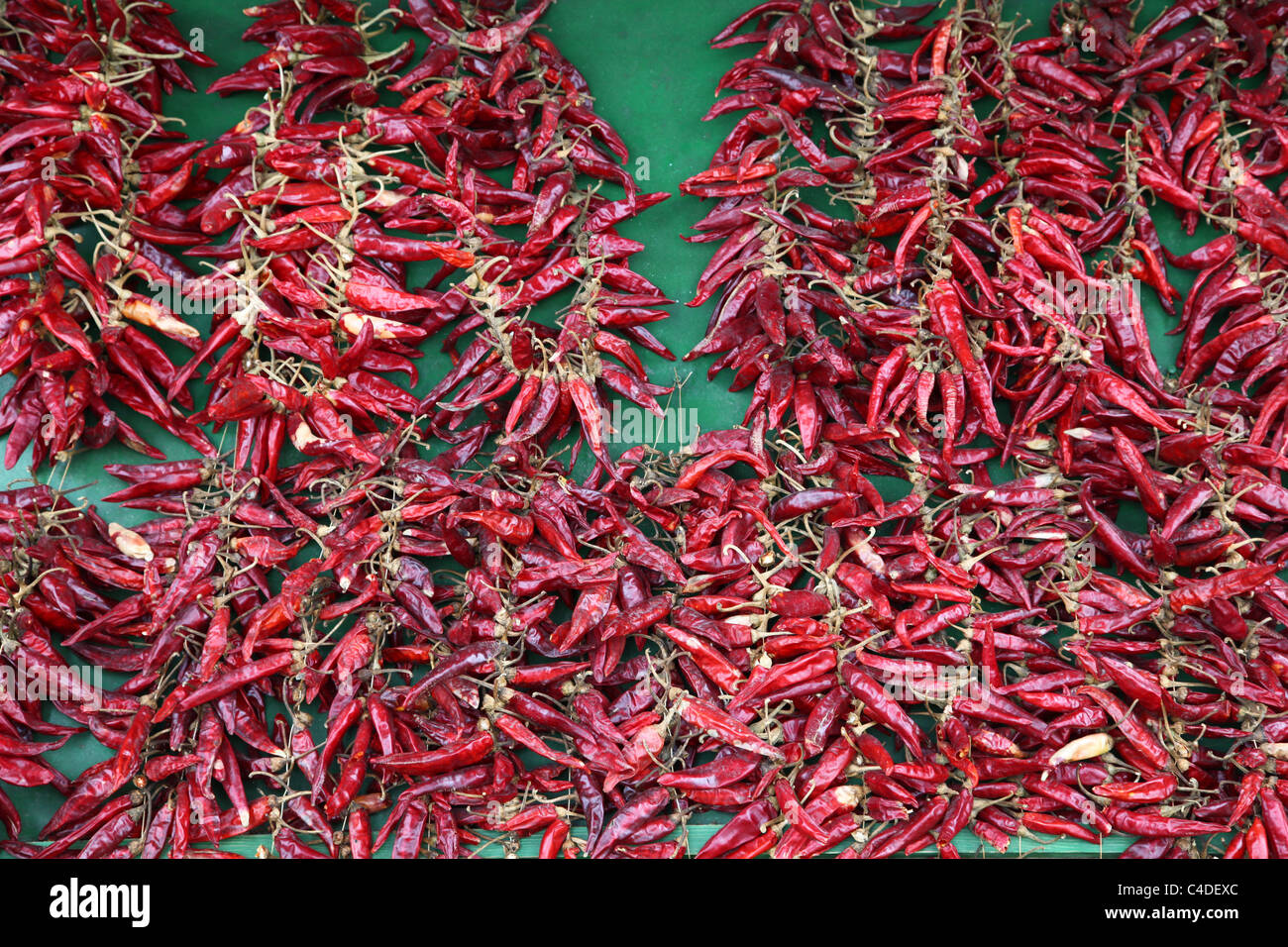Red chilies Stock Photo