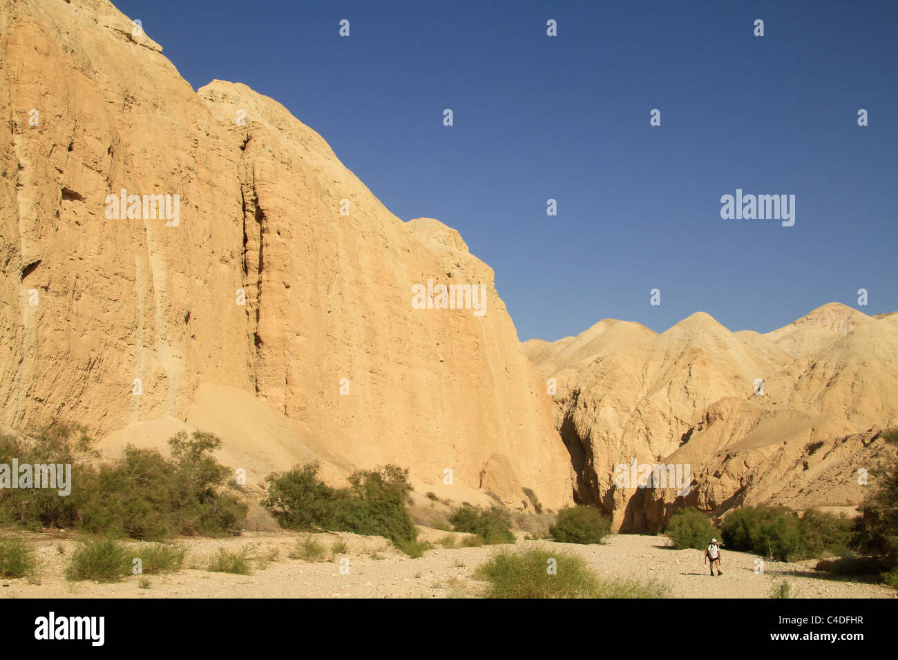 Judean desert, Wadi Og in the Dead Sea valley Stock Photo