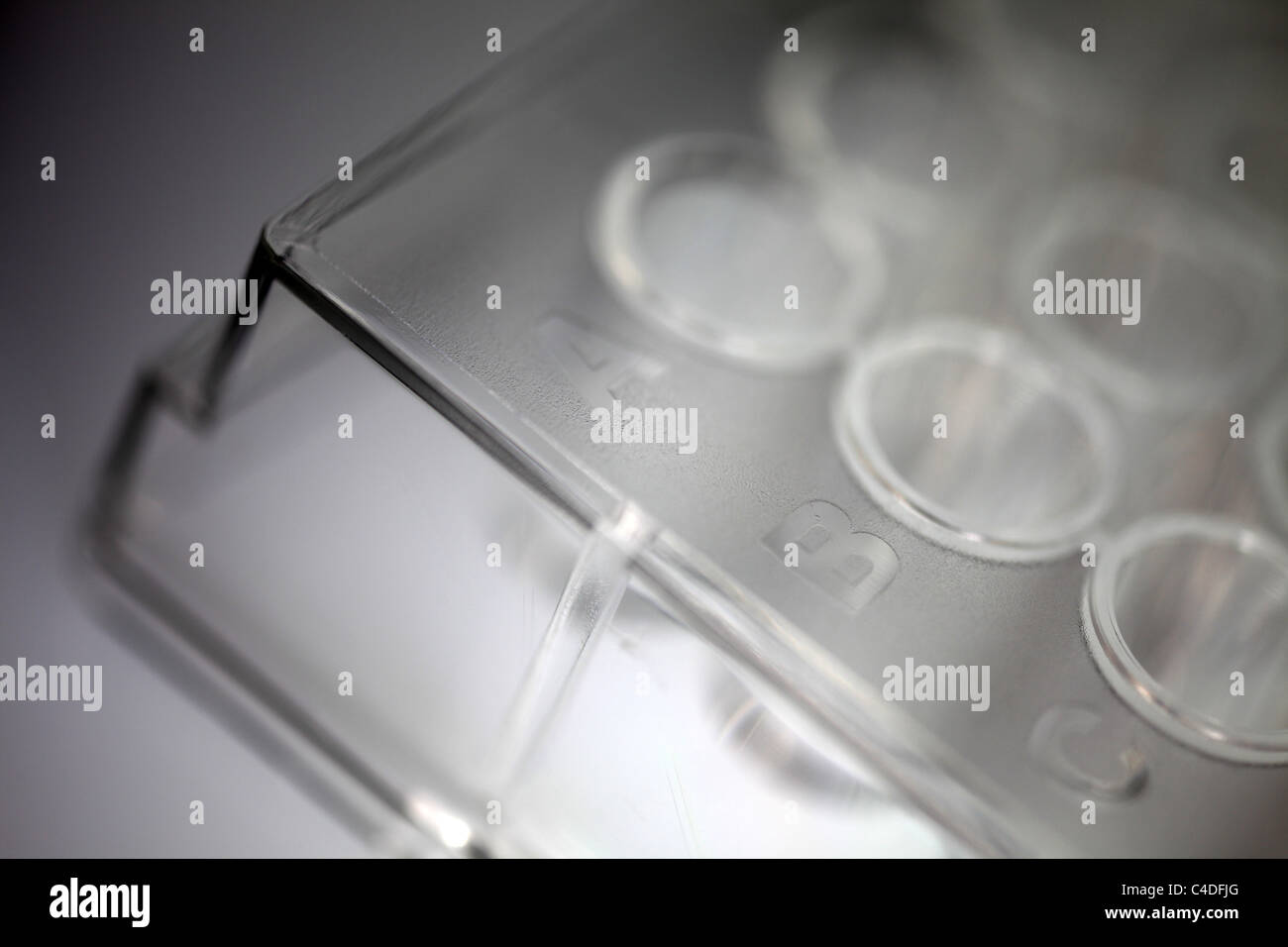 Closeup of a transparent plastic 96well plate used for luminescence