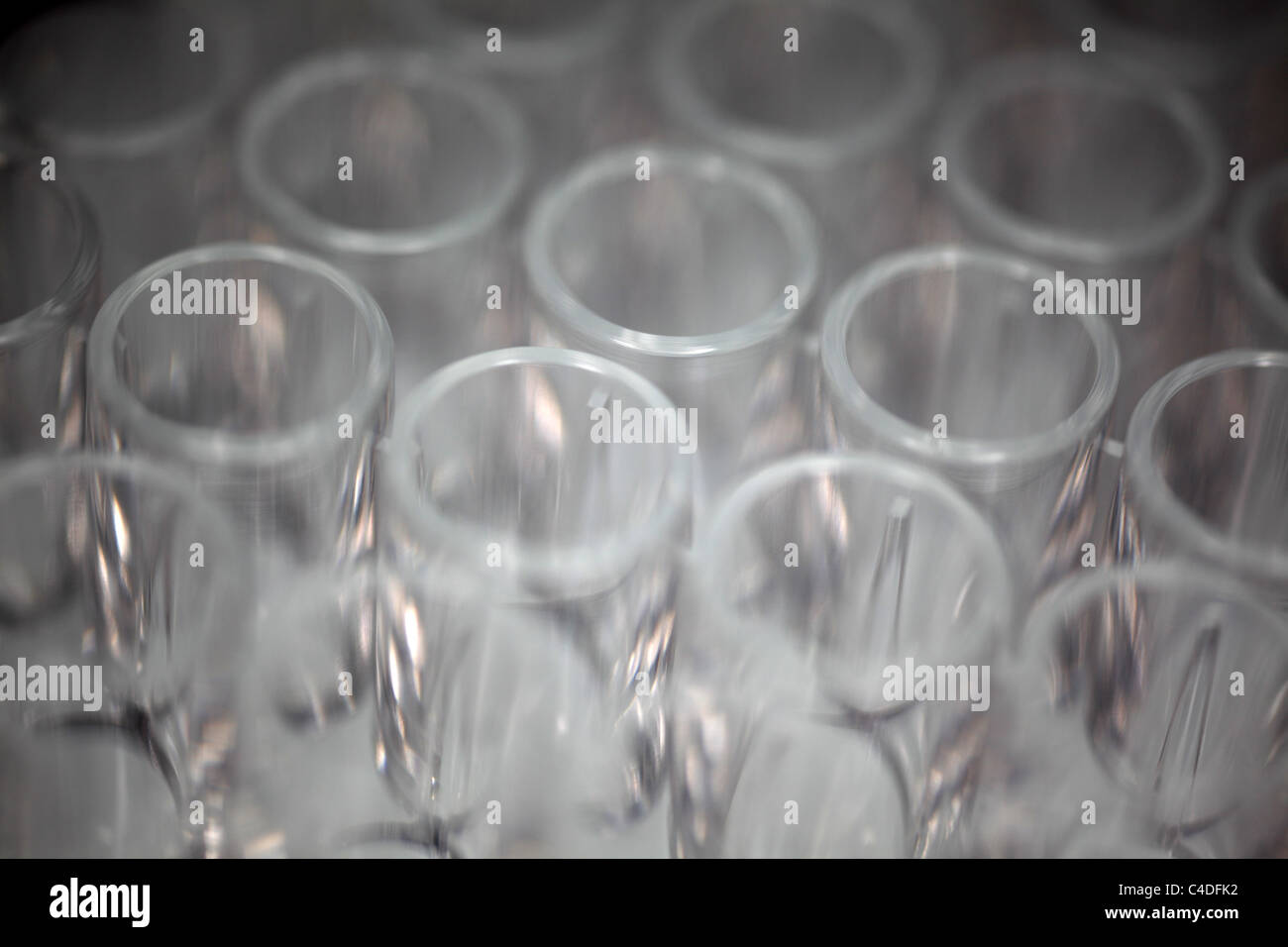 Closeup of a transparent plastic 96well plate used for luminescence