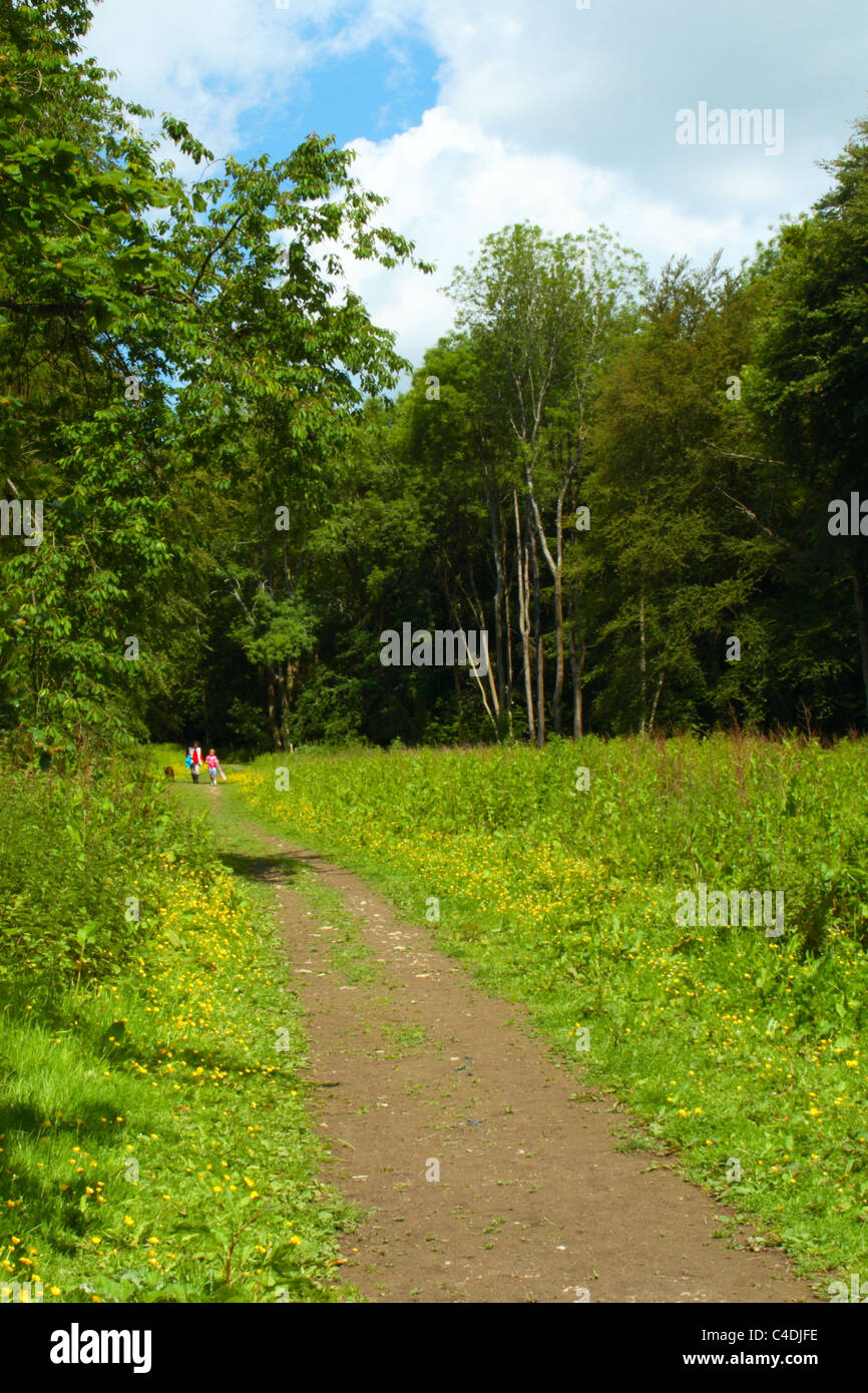 Hughenden valley high buckinghamshire hires stock photography