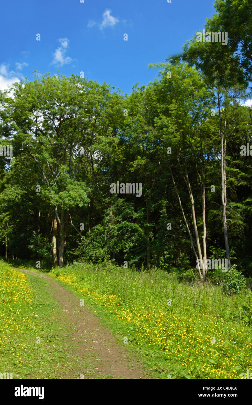 Hughenden valley buckinghamshire hires stock photography and images