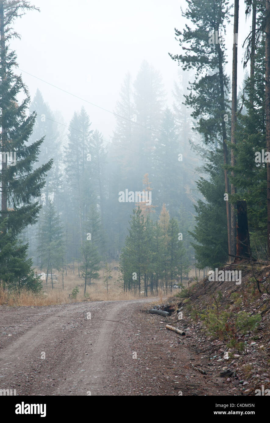 Smoke from burn piles clouds the air in Seeley Lake, Montana Stock