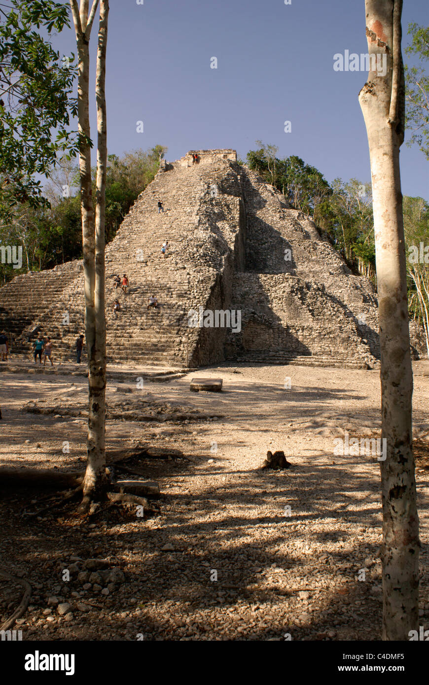 Nohoch Mul pyramid at the Mayan ruins of Cobá, Quintana Roo, Mexico. Stock Photo